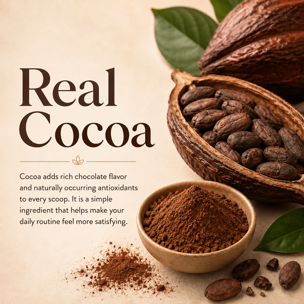 MycoGami Organic Mushroom Plant Protein - Cacao - MycoGami