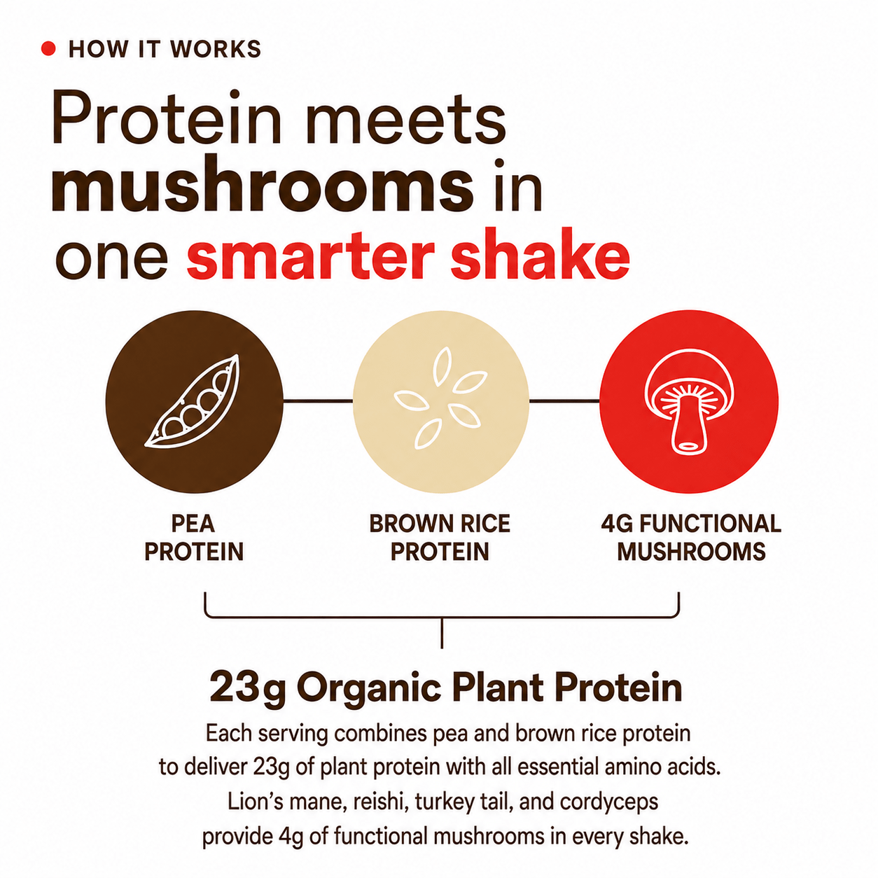 MycoGami Organic Mushroom Plant Protein - Cacao - MycoGami