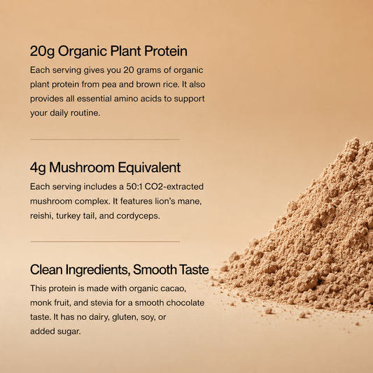 MycoGami Organic Mushroom Plant Protein - Cacao - MycoGami