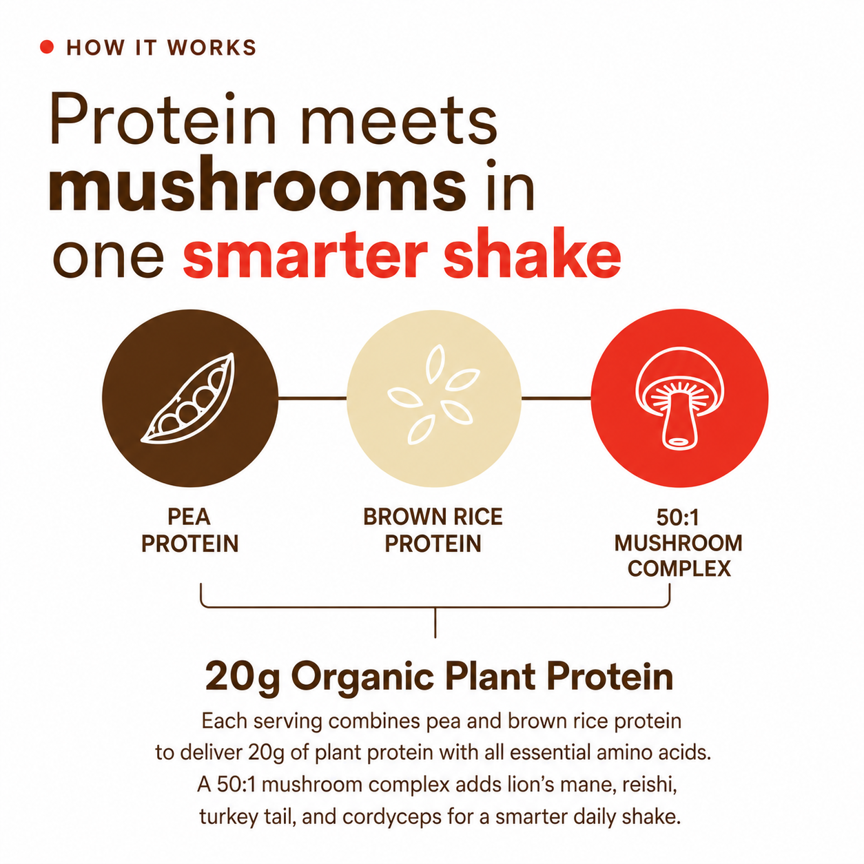 MycoGami Organic Mushroom Plant Protein - Cacao