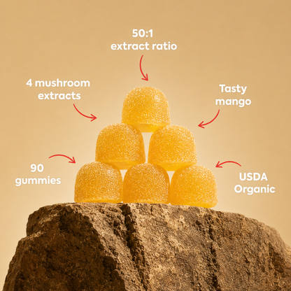 MycoGami Organic Mushroom Gummies
