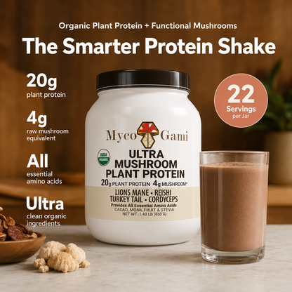 MycoGami Organic Mushroom Plant Protein - Cacao